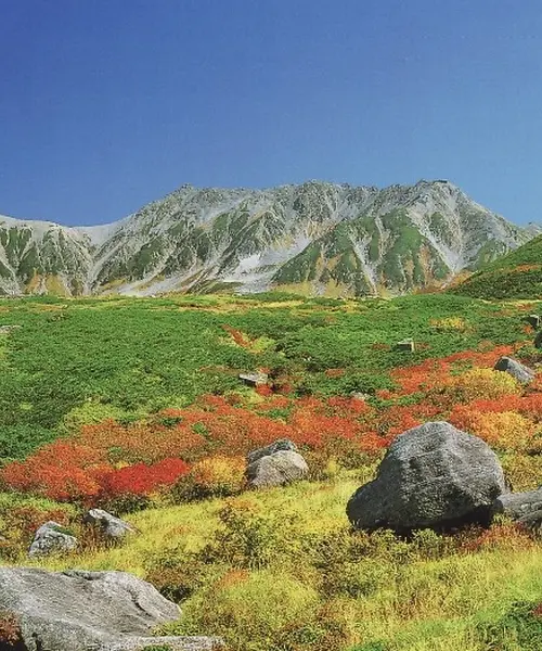 立山黒部アルペンルートで北アルプスの秋を存分に楽しもう！
