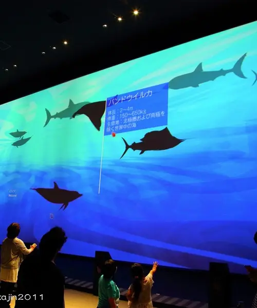 大自然超体感ミュージアム「Orbi」で大自然を体験しよう！／横浜
