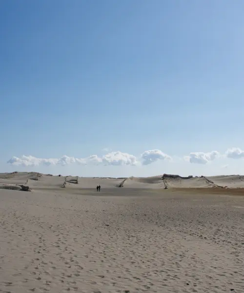 浜松と云えばうなぎ・・・というのはありきたり。なんと、映画「清須会議」のロケ地の砂丘もあるよ!