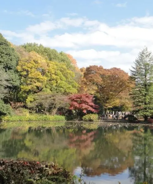 11月16日は、家族で日立中央研究所の庭園におでかけして美しい紅葉を楽しみませんか。