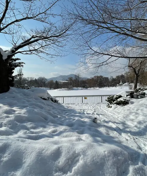 雪まつりと札幌旅行