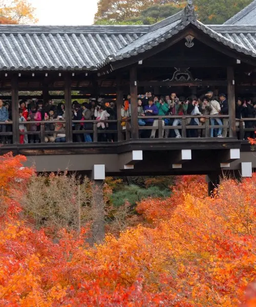 京都市東山区の観光におすすめ 人気 定番 穴場プランが439件 Holiday ホリデー