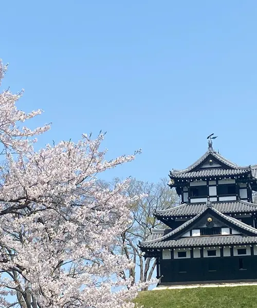 新潟高田城〜長野野沢温泉