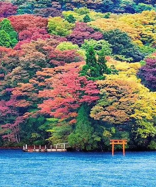 夫婦で楽しむ秋の富士旅