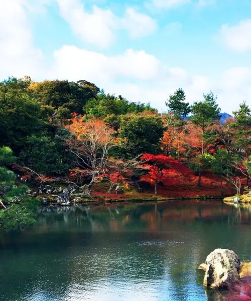 [京都1泊2日♡]てくてくお散歩しながら、秋の京都を大満喫しよう💓
