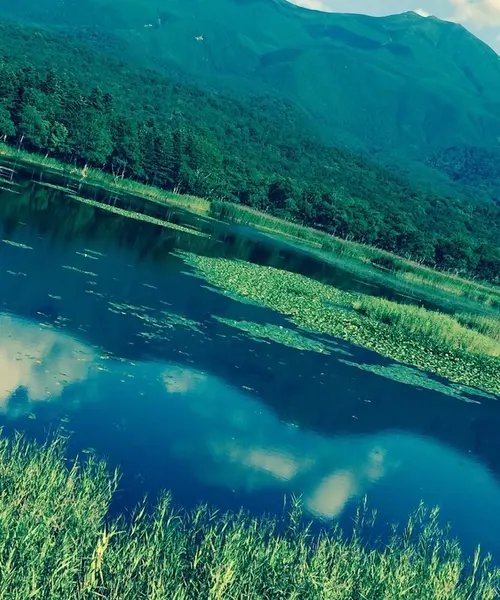 北海道で自然を楽しもう Holiday ホリデー
