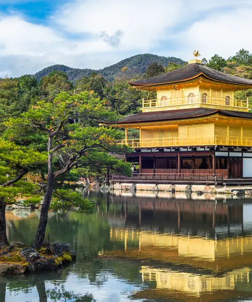 思わずの京都出張自由行動🍁どうする！？