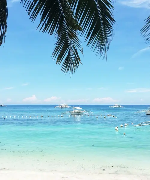 フィリピン ボホール島の美しい海と緑がいっぱいのリゾート旅プラン