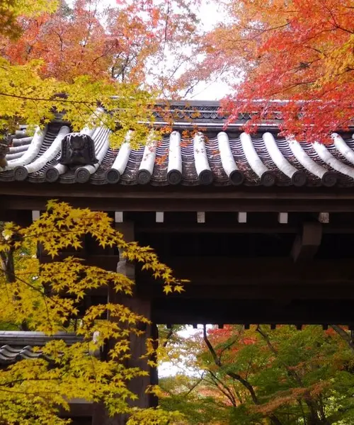 秋の京都を大満喫しよう[京都1泊2日♡]