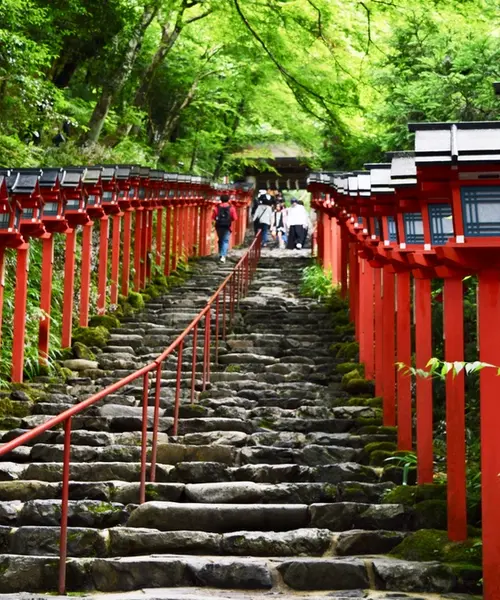京都の癒しに関するおでかけプランが96件 Holiday ホリデー