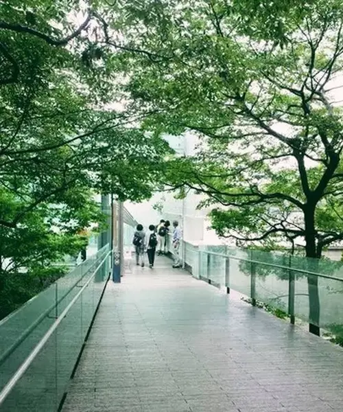 週末ぶらり旅。雨の箱根と小田原散策
