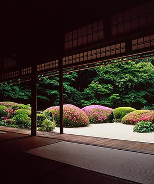 のんびり京都の静かな名所巡り