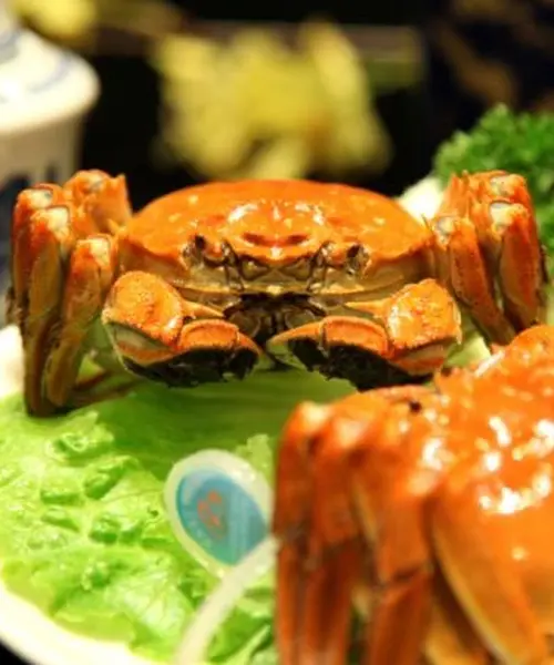 《中国・上海編》食欲の秋に上海蟹を食べに行こう🦀CAと巡る上海１泊2日旅！