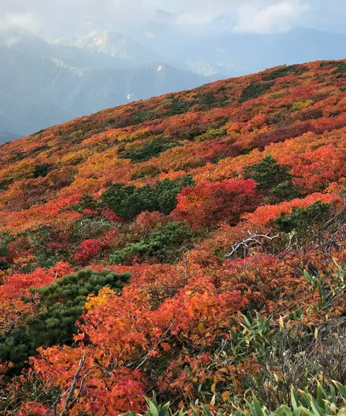 【宮城】シーズン到来！紅葉の名所🍁栗駒山を訪れる1泊2日