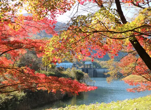 【京都・美山】美山の秋色を求めて