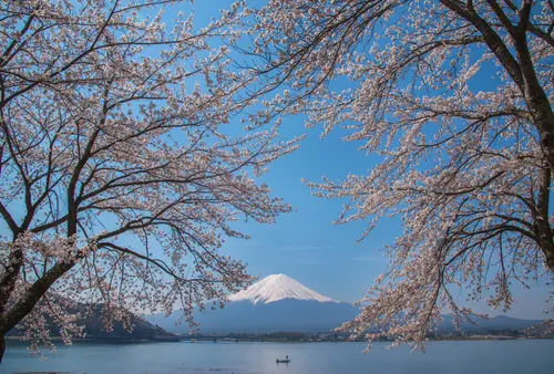 日本人ならこう教えろ！～訪日欧米人観光客向け・富士山登山編 ～