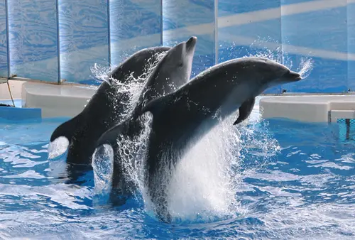 🍷鎌倉で優雅なランチと水族館デート