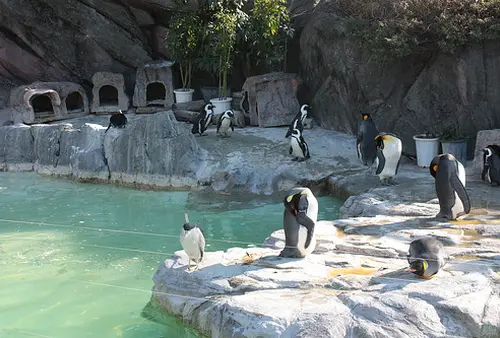 上野動物園で動物達に癒される休日