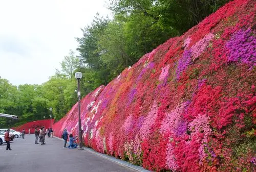 5月豊田へお出かけ