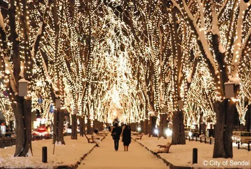 仙台市泉区の観光におすすめ 人気 定番 穴場プランが12件 Holiday ホリデー