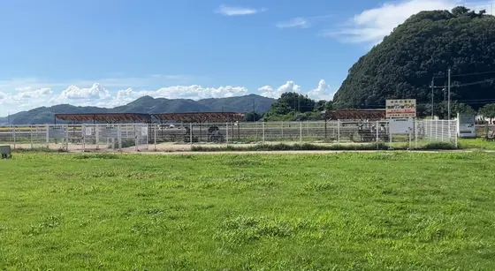 ドックラン