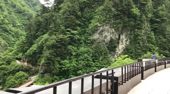 展望台