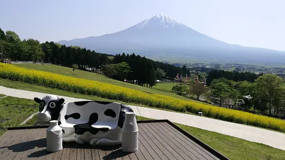 富士山テラスの牛さんチェアー