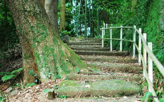 滝通りから小道を登ると旧東海道