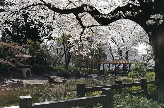 日本庭園風エリア