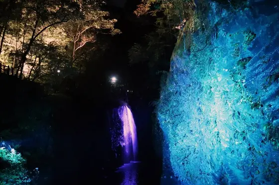 真名井の滝ライトアップ