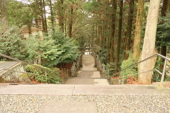 今山八幡宮御社殿～東参道入口の階段