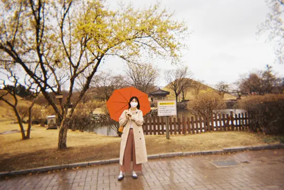 비가 오는 대릉원 호수 앞 雨の降る大陵苑湖の前