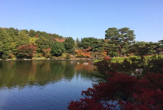 池と空と紅葉