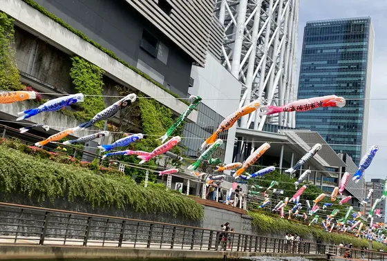 おしなり公園の鯉のぼり