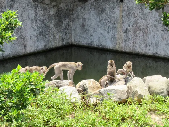 新竹市立動物園