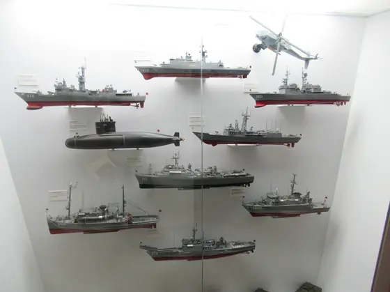 展示