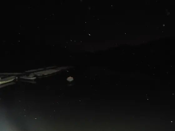 夜の池