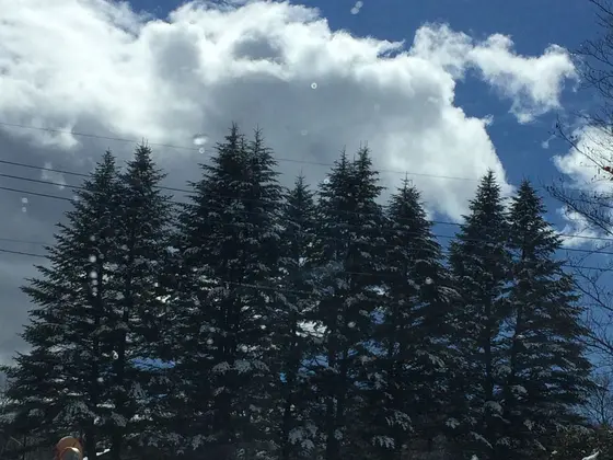 雲の中の 浅間山