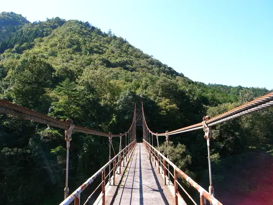 森へと続く吊り橋
