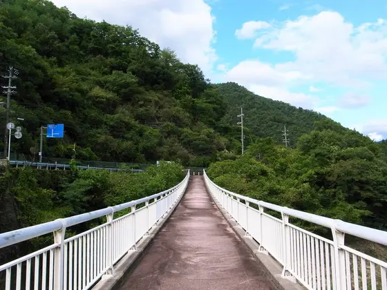 White suspension bridge