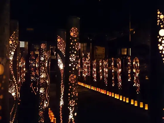 菊池神社境内の竹灯り