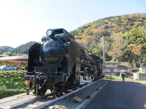Ｄ５１形蒸気機関車Ｄ５１ １９４