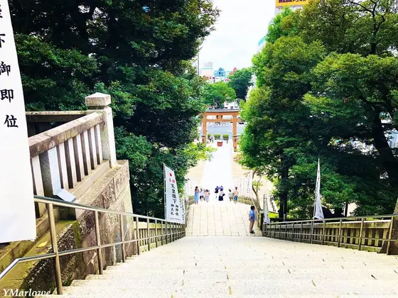 見晴らしが良い