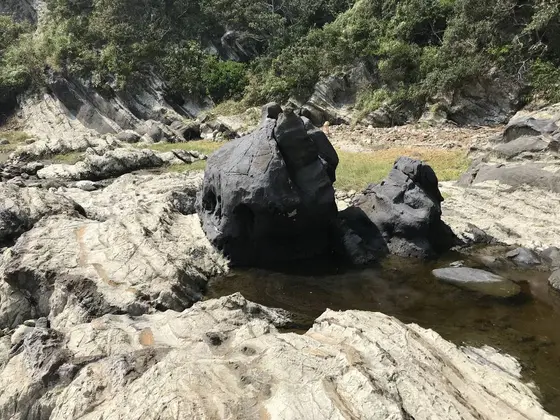 ドクロ岩w