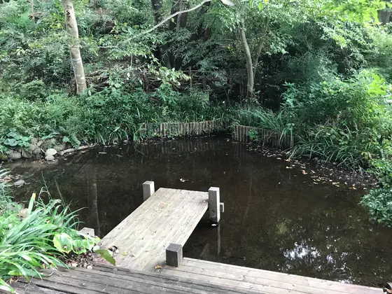 こんな池も有ります。