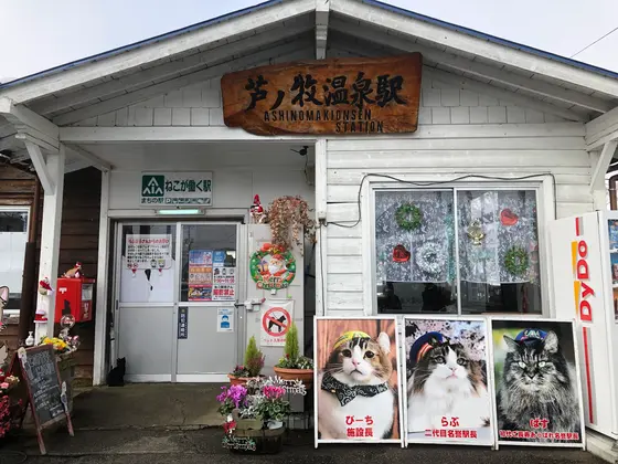 猫が働く駅、芦ノ牧温泉駅