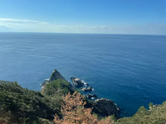 東シナ海を望むオーシャンビュー