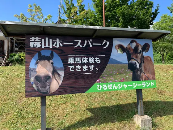 乗馬体験もできるみたい