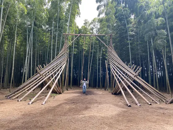 大きな竹のブランコ