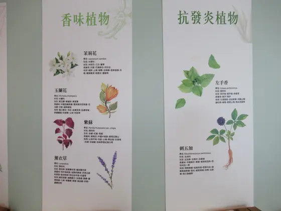 Healtdeva 赫蒂法荘園